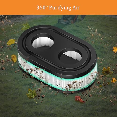 2 Piece Briggs & Stratton Air Filter Set