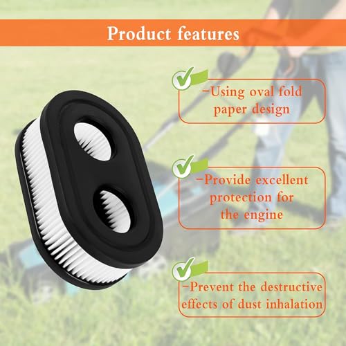 2 Piece Briggs & Stratton Air Filter Set