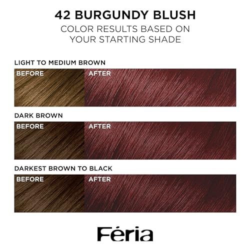L'Oreal Paris Feria Multi-Faceted Shimmering Permanent Hair Color, High Intensity Hair Dye for 3X Highlights, 42 Burgundy Blush, 1 Hair Dye Kit
