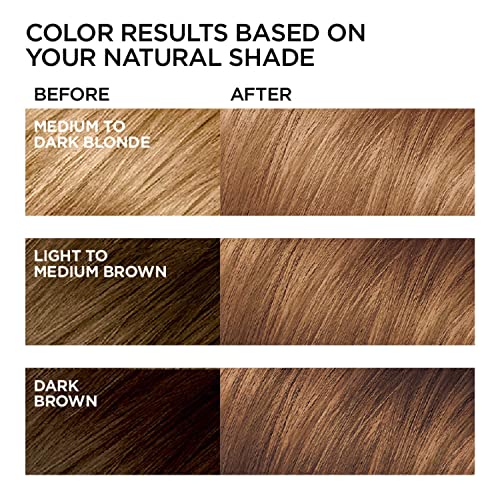 L'Oreal Paris Feria Multi-Faceted Shimmering Color, Light Golden Brown [63] 1 ea (Pack of 3)