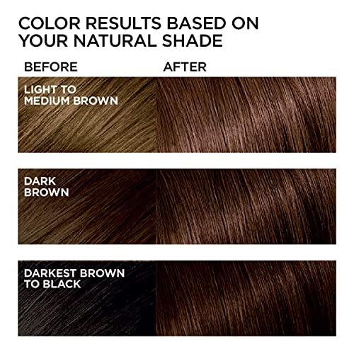 L'oreal LOreal Feria Haircolour 45 French Roast, French Roast 1 each (Pack of 2)