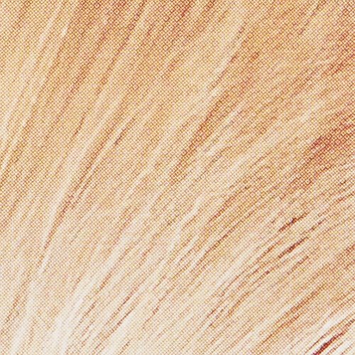 L'Oreal Paris Superior Preference Mousse Absolue, 1000 Pure Lightest Blonde