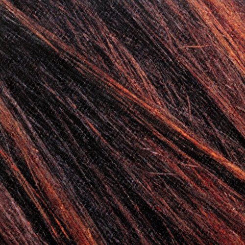 L'Oreal Paris Couleur Experte 2-Step Home Hair Color and Highlights Kit, Chocolate Mousse