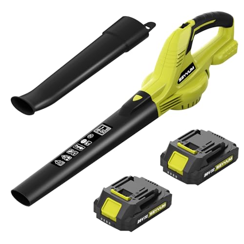 20V Cordless Leaf Blower with 2 Li-ion Batteries
