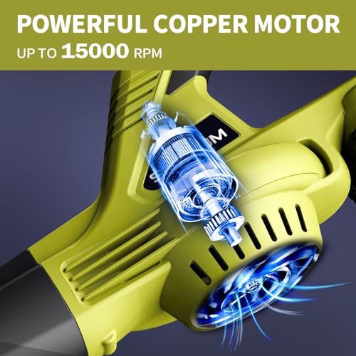 20V Cordless Leaf Blower with 2 Li-ion Batteries