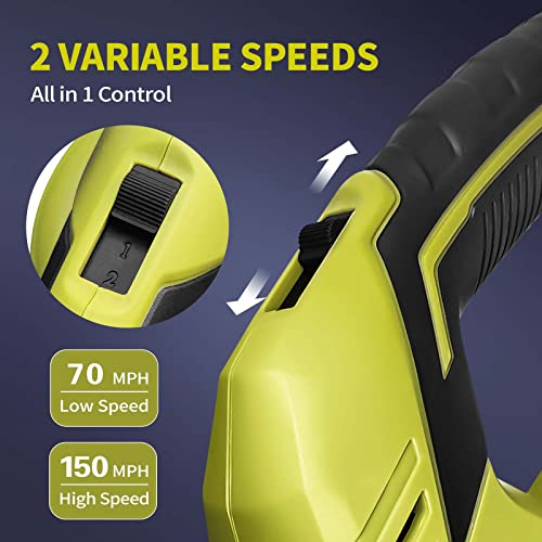 20V Cordless Leaf Blower with 2 Li-ion Batteries