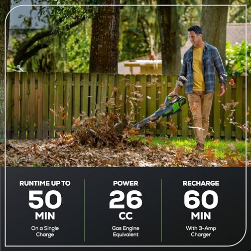 Greenworks 60V Cordless Leaf Blower Kit