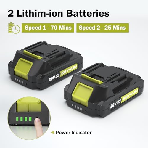 20V Cordless Leaf Blower with 2 Li-ion Batteries