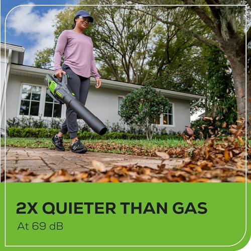 Greenworks 60V Cordless Leaf Blower Kit