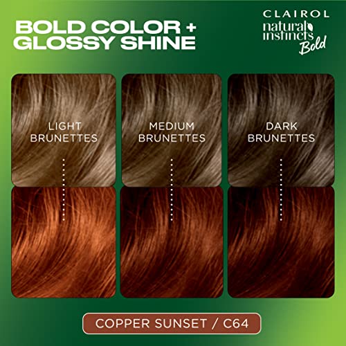 Clairol Natural Instincts Bold Permanent Hair Dye, C64 Copper Sunset Hair Color, Pack of 1