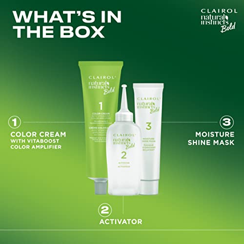 Clairol Natural Instincts Bold Permanent Hair Dye, C64 Copper Sunset Hair Color, Pack of 1