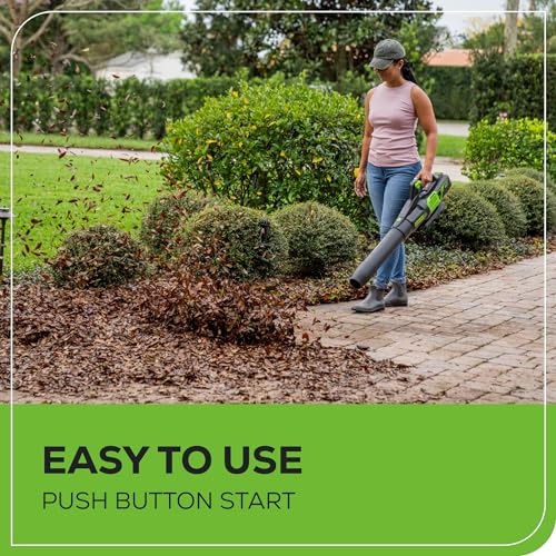 Greenworks 60V Cordless Leaf Blower Kit