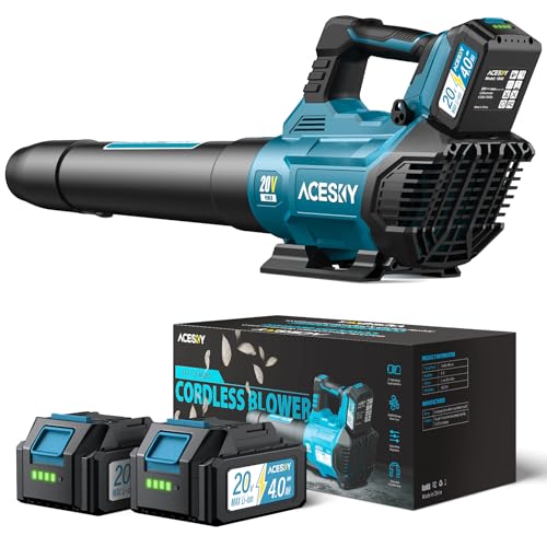Cordless Electric Leaf Blower 580CFM/160MPH, 2 Batteries included