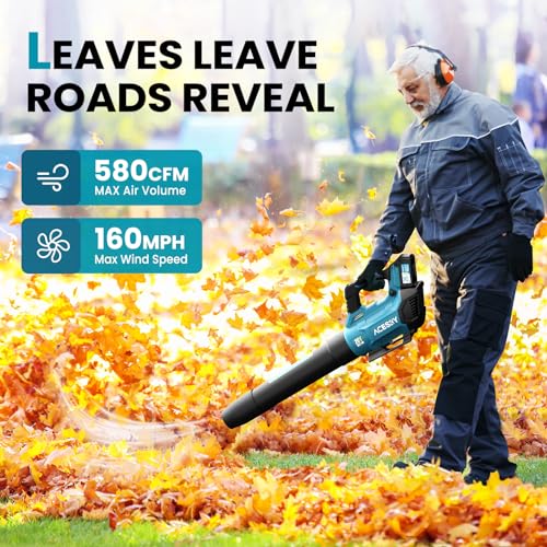 Cordless Electric Leaf Blower 580CFM/160MPH, 2 Batteries included