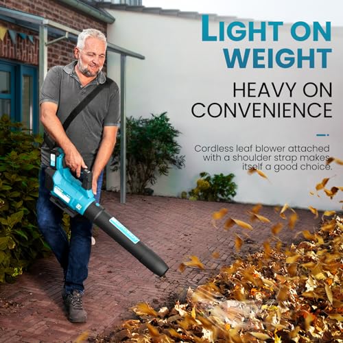 Cordless Electric Leaf Blower 580CFM/160MPH, 2 Batteries included