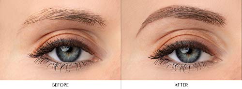 Physicians Formula Eyebrow Retractable Slim Definer Brow Pencil, Taupe Brown, Dual-Sided Brow Brush, Fine Tip, Shapes, Defines, Fills Brow Makeup | Dermatologist Tested, Clinicially Tested