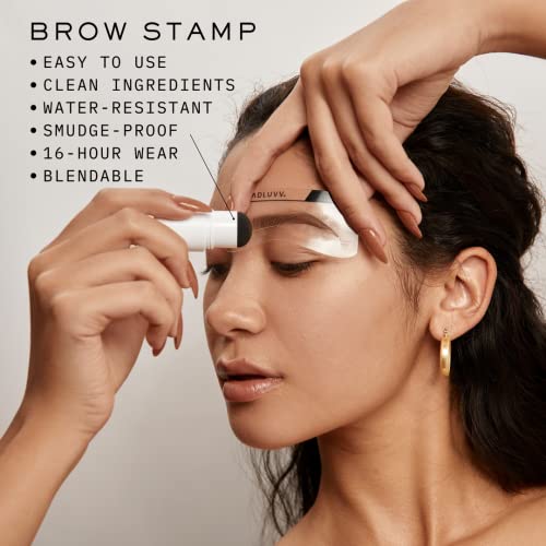 MADLUVV Eyebrow Stencil Kit - Easy-to-Use, Natural Look, 6 Popular Shapes, Used by Professionals - Includes Stamp, Stencils, Spoolie, and Travel Bag (Medium Brown)