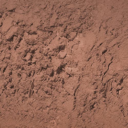 Palladio Brow Powder for Eyebrows, Soft and Natural Eyebrow Powder with Jojoba Oil & Shea Butter, Helps Enhance & Define Brows, Compact Size for Purse or Travel, Includes Applicator Brush, Dark Brown