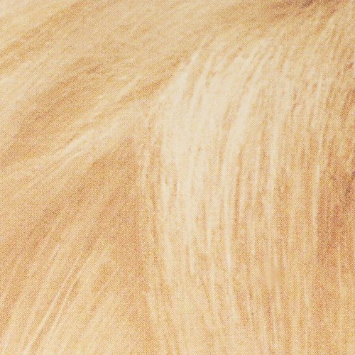 L'Oreal Paris Super Blonde Creme Lightening Kit, 200 Bleach Blonde