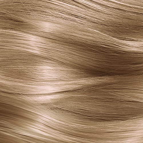 L'Oreal Paris Excellence Cool Supreme Permanent Gray Coverage Hair Color, Ultra Ash Medium Blonde
