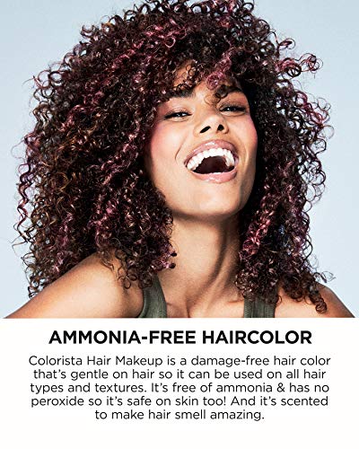 L'Oreal Paris Hair Makeup Temporary 1-Day Hair Color for Blondes, Grey 700, 1 Fluid Ounce