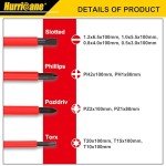 HURRICANE 1000V 13-Piece Insulated Screwdriver Set