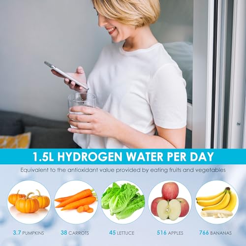 Hydrogen Water Bottle Generator with SPE PEM Technology