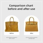 DGAZ Purse Organizer Silky Smooth Fits Birkin 20/25/30/35/40/45/50 Bags,Silk,Luxury Handbag Tote in Bag Shapers, Women(Jaune amber,BK20)