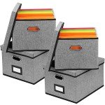 EOOUT 4 Pack Hanging File Organizer Box, File Folder Organizer Letter Size with Handles for Office Home School,Dark Gray