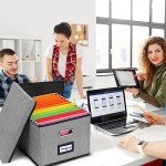 EOOUT 4 Pack Hanging File Organizer Box, File Folder Organizer Letter Size with Handles for Office Home School,Dark Gray