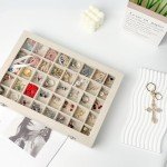 GISK Clear Lid Velvet 40 Grid Jewelry Box with Transparent Glass lid Earring Organizer,Jewelry Organizer with Removable Dividers For Ring,Earring,Jewelry Organization for Girls Women(40 Grid-White)