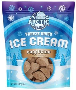 Arctic Farms Freeze Dried Ice Cream that Does Not Melt (1 Ounce, Cappuccino)