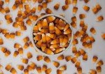 Caramel Candy Corn-Candy Corn Bulk-Fall and Thanksgiving Candy Corn Autumn Mix, Rich Caramel Flavored Harvest Candy Corn, by Queen City Candy Cave (8 Ounce)