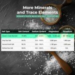 Ocean's Taste Baja Gold Sea Salt, 16oz - 1 LB Baja Gold Mineral Sea Salt, Natural Fine Grain Crystals, Fine Sea Salt, Baja Salt, 30% Less Sodium | Mineral Salt Ideal for Electrolytes Balance, Cooking & Baking | Kosher Salt, Real Salt, Organic Sea Salt Fine.