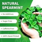 Tempoak Premium Spearmint Tea Bags - 60bags/6.4 Oz 100% Pure & Natural Spearmint Leaves Herbal Tea, Caffeine Free, No Additives, No Sugar, Non-gmo, No Gluten