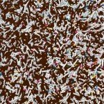 Fancy Sprinkles Limited Edition Amazon Exclusive Classic Twist Dessert Decorating Sprinkles, Real Sugar, Edible Glitter, For Ice Cream, Cookies, Cakes and Cupcakes (0.25c)