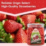 Ternio Premium Freeze Dried Strawberries - 4.5 Oz/128g - Frozen Dried Strawberry Pieces - 100% Natural & No Additives - Healthy Freeze Dried Fruit Snack & Topping for Beverages or Recipes. (Granules Strawberry (4.5oz）