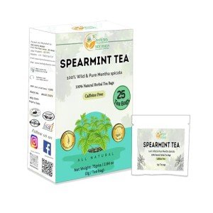 Organic Spearmint Tea Bags, Caffeine-Free, Eco-Friendly Packaging – 25 Count for Refreshing Herbal Tea, All-Natural, Sustainably Sourced by Herbs Botanica