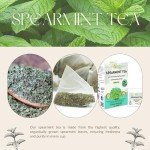Organic Spearmint Tea Bags, Caffeine-Free, Eco-Friendly Packaging – 25 Count for Refreshing Herbal Tea, All-Natural, Sustainably Sourced by Herbs Botanica