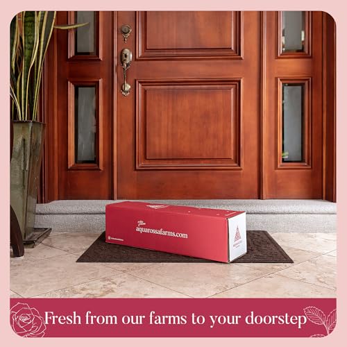 Fresh Flowers For Mothers Day Delivery - Next-Day Delivery - 24 Assorted Roses - Flower Fresh Bouquet - Fresh Cut Long Stem Roses Bouquet of Flowers Birthday Gifts for Women -Aquarossa Farms