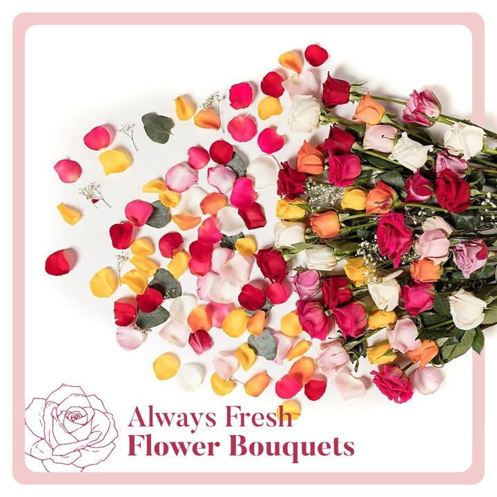 Fresh Flowers For Mothers Day Delivery - Next-Day Delivery - 24 Assorted Roses - Flower Fresh Bouquet - Fresh Cut Long Stem Roses Bouquet of Flowers Birthday Gifts for Women -Aquarossa Farms