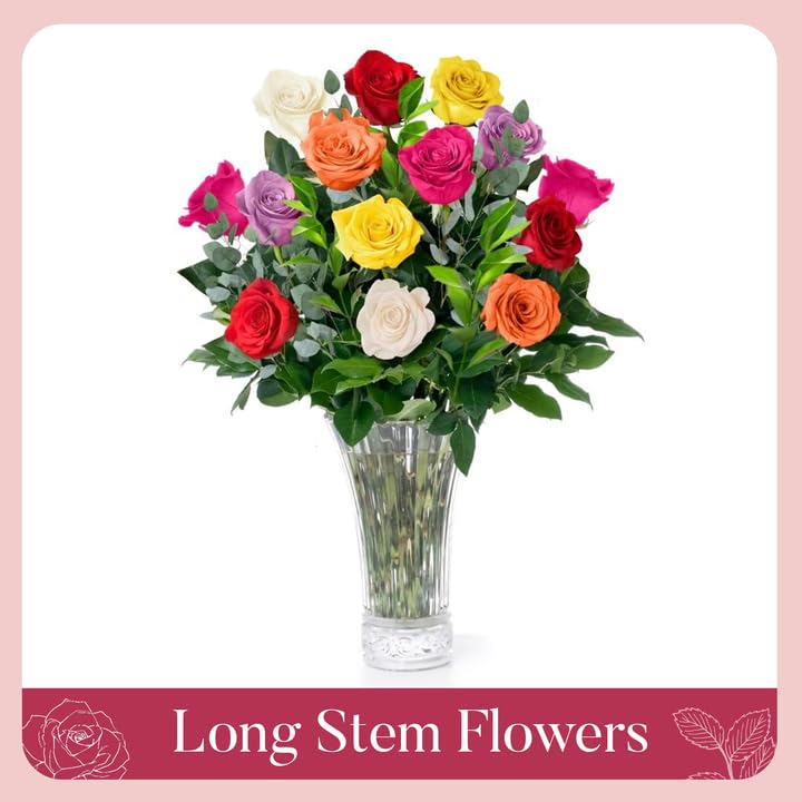 Fresh Flowers For Mothers Day Delivery - Next-Day Delivery - 24 Assorted Roses - Flower Fresh Bouquet - Fresh Cut Long Stem Roses Bouquet of Flowers Birthday Gifts for Women -Aquarossa Farms