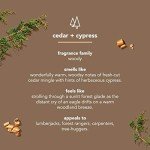 Cedar & Cypress Body Wash for Men, 18 oz