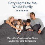 Luxurious Dark Gray Queen Bedding Set, 4-Piece