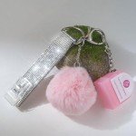 Nail Tip Grabber Set with Card Puller Keychain