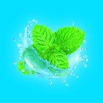 Sugar Free Menthol Cough Drops, 140 Count