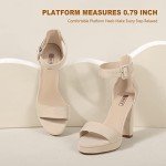 IDIFU Women's IN4 Sabrina Platform Chunky High Heels Ankle Strap Heeled Sandals Wedding Party Dress Shoes (12, Nude Suede)