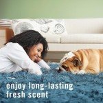 Febreze Odor-Fighting Fabric Refresher Pet Odor Fighter, 16.9oz, Pack of 2