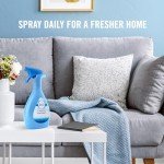 Febreze Odor-Fighting Fabric Refresher with Gain, Original, 16.9 fl oz, Pack of 2