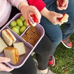 Babybel Babybel Original 12 Count, 8.5 OZ